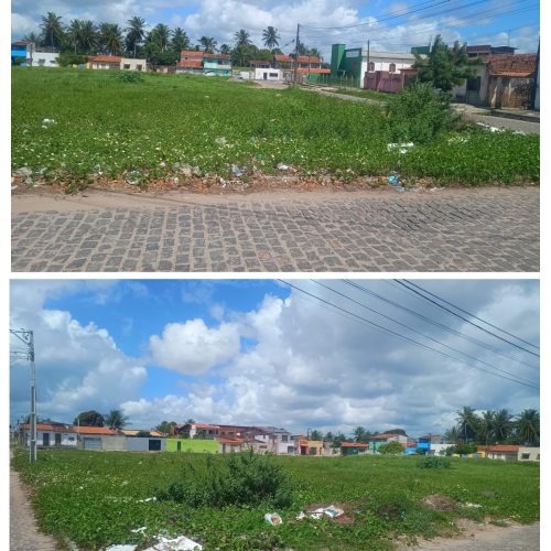 Lote 1